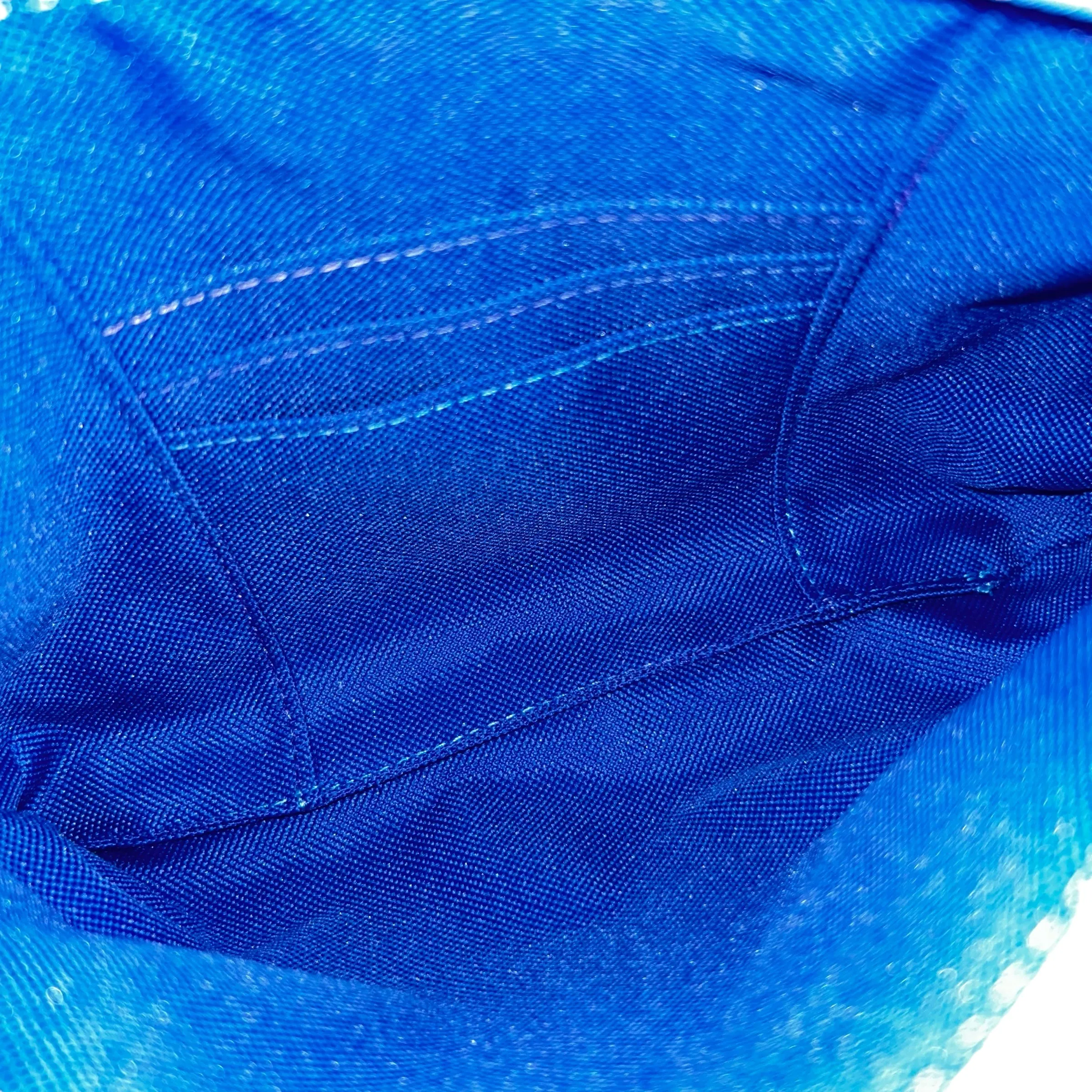 Blue Butterfly Wristlet and Crossbody Bag